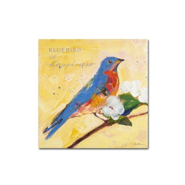 Trademark Fine Art Sheila Golden 'Bluebird' Canvas Art, 35x35